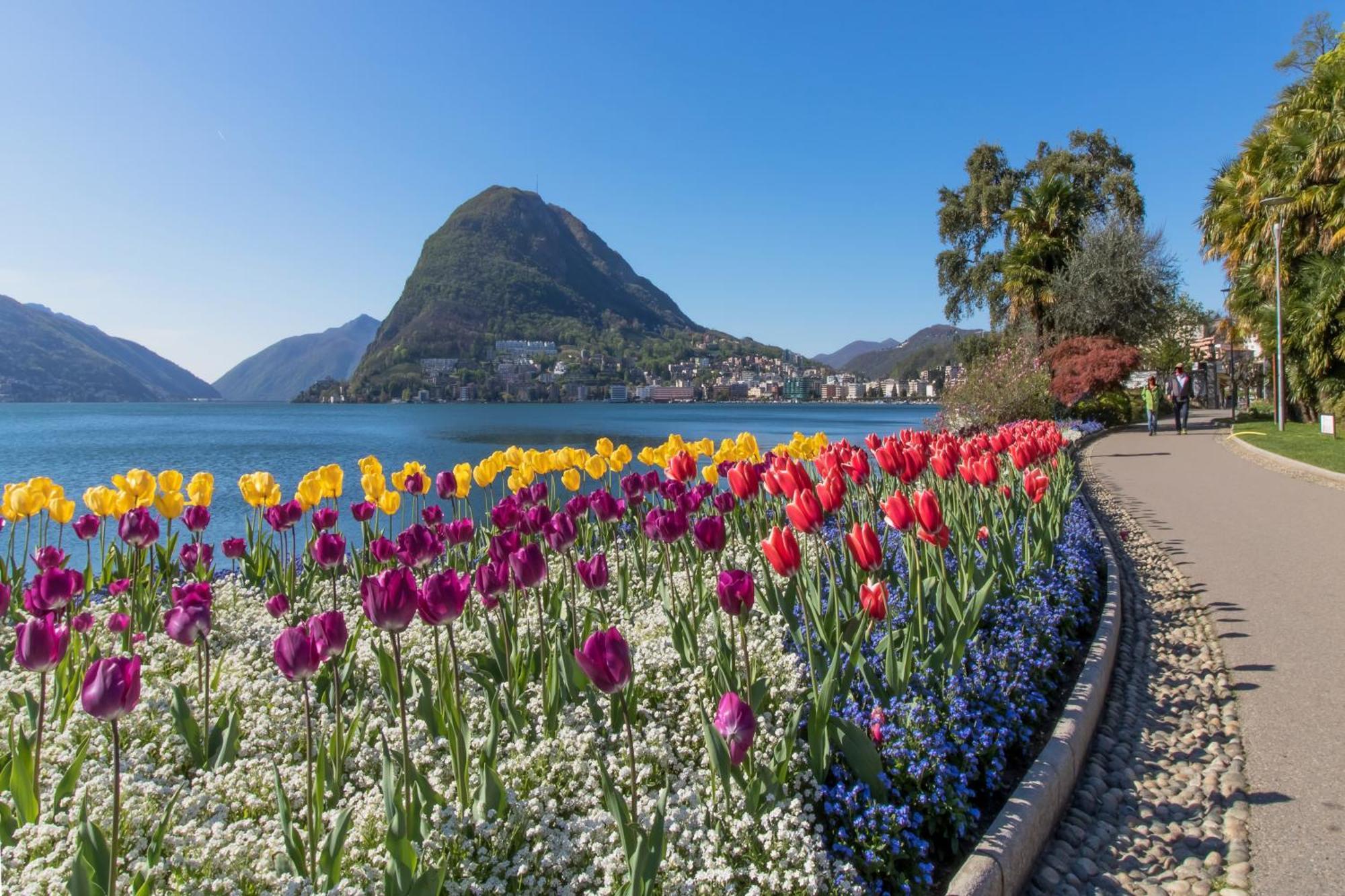 Love Of Lugano Exterior photo